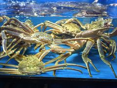 -上海1号私藏菜(黄浦店)