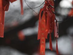 -句容茅山景区