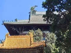 -隆兴寺