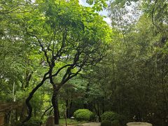 -大连植物园