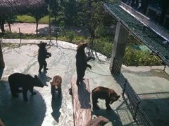 -深圳野生动物园
