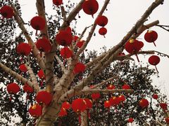 -西安饭庄(立丰国际店)