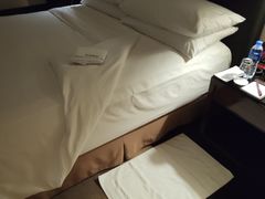 -成都保利公园皇冠假日酒店(熊猫基地店)