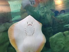 -珠海长隆海洋王国