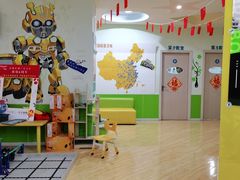 -乐博乐博少儿编程·乐高机器人编程·信息学竞赛(百仕达校区)