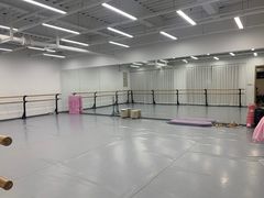 -中央芭蕾舞团·中芭艺蕾(酒仙桥明星校区)