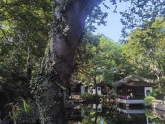 -秋霞圃