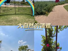 -下渚湖·湿地公园