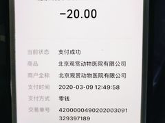 -北京观赏动物医院·24小时大型综合·猫专科·异宠专科