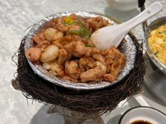 -丁老爷子苏香圆