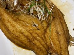 石斑鱼-衡山汇·高级粤菜(霄云路店)