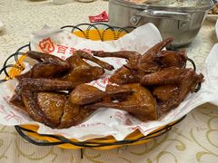 -百利鸽王(紫薇路店)