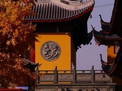 -上海青龙寺