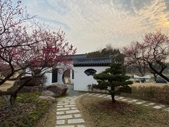 -东方绿舟景区