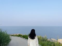 -大连蚂蚁岛度假区