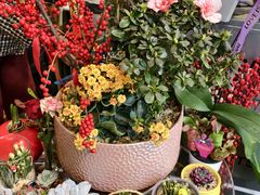 -FEI FEI FLOWER鲜花店·气球派对·宝宝宴布置(虹口德必运动Loft店)