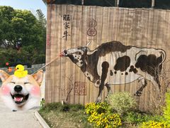 -苏州太湖西山岛开心农场