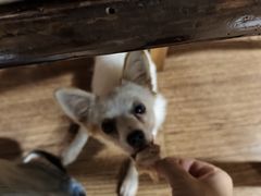 -小六农家乐(崇明西沙湿地店)