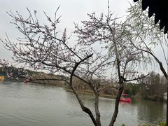 -沙家浜风景区