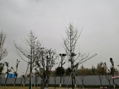 -成飞公园