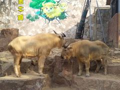 -无锡动物园·太湖欢乐园