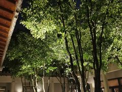-宁波柏悦酒店·钱湖渔港