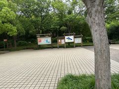 -新江湾城公园