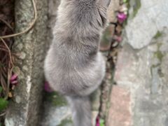 -老屋咖啡