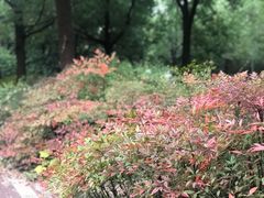 -武汉园博园(武汉自然博物馆)