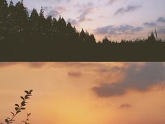 -前小桔亲子创意农场·草莓采摘·露营烧烤