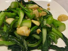 -新蜀会四川豆花(五羊店)