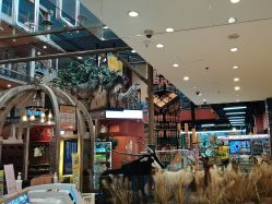 -卡通尼·Safari非洲探索乐园·生日会(金桥国际商业广场店)