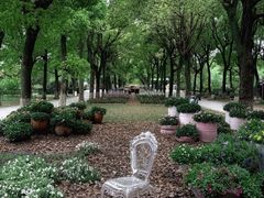 -上海鲜花港