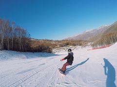 -多乐美地滑雪场