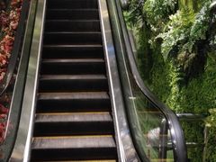 -木子塘汗蒸生活馆(财富港店)