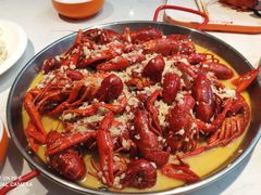 蒜泥龙虾-杨氏青龙虾·羊蝎子(金盛路总店)