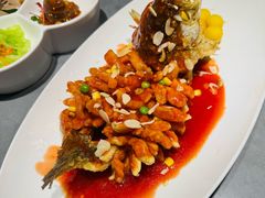 特色松鼠鱼（苏州招牌菜）-姑苏家宴·苏帮菜·松鼠桂鱼(苏州总店)