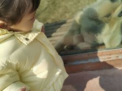 -济南野生动物世界