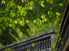 -香山公园