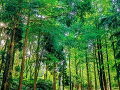 -苏州河梦清园环保主题公园