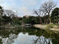 -叶家花园