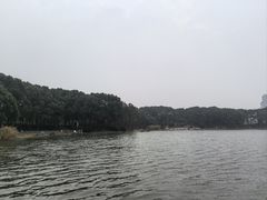 -美兰湖景区