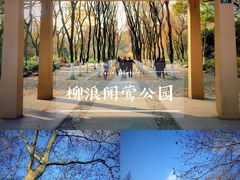 -柳浪闻莺公园