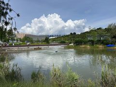 -深圳大学(丽湖校区)