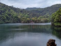 -鼎湖山风景区