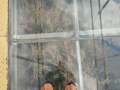 -磐安舞龙峡景区