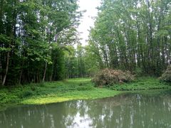 -桤木河湿地公园