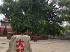 -大槐树寻根祭祖园