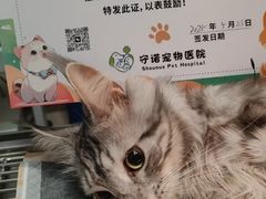 -守诺宠物医院·眼科· 特色牙科·异宠专科(虹口店)