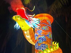 -欢乐海岸椰林沙滩-2025湾区超级灯会
